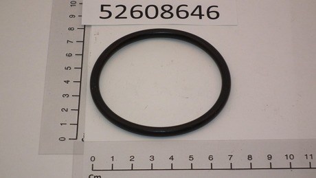 DEMAG O-ring 66 X 5 B NB 70769