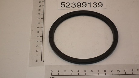 DEMAG Oil seal 96 X110,5X6 NB
