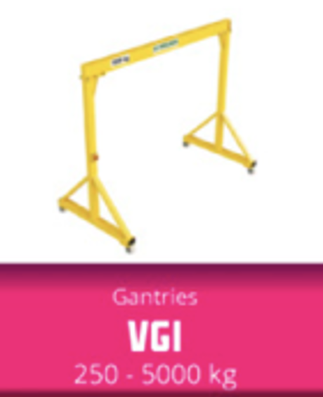 VGI