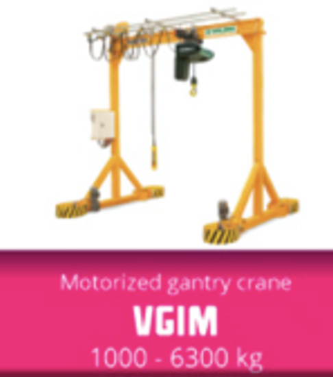 VGIM